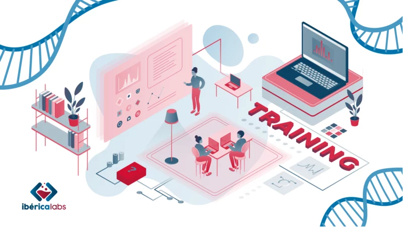 Ilustración que representa la programación de Ibérica Labs con distintas fases de trabajo, sesiones prácticas y dinámicas de grupo para aprender y compartir ideas.