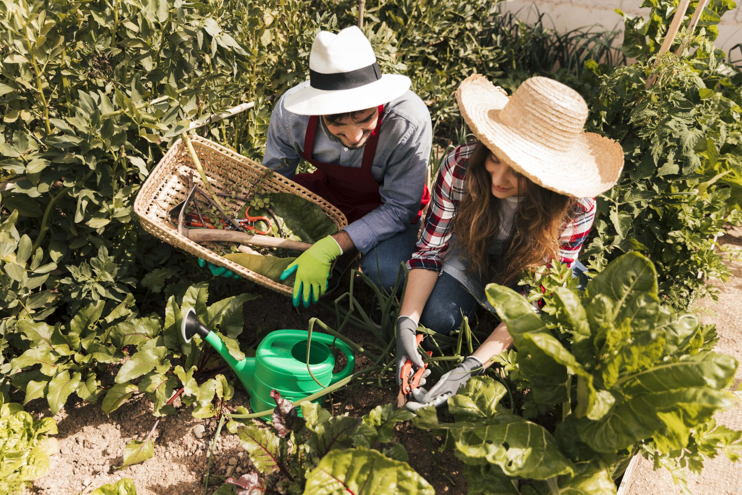 Dos personas trabajando juntas en un huerto, usando sombreros para el sol y cuidando plantas con una cesta de mimbre y una regadera
